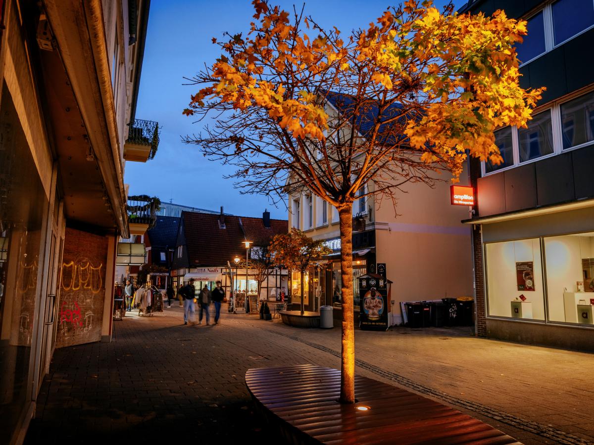 Luminar Cuxhaven baum